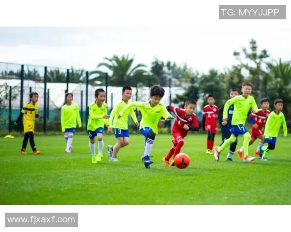 井有足球的奇妙旅程探索与梦想的交汇点