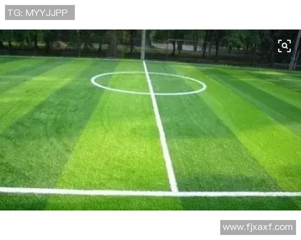 足球场真草皮的优势与维护技巧全面解析让您享受更高品质的比赛体验