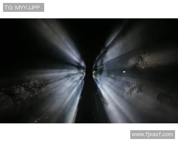 足球黑色面背后的秘密与真相揭示了这项运动的阴暗角落与挑战